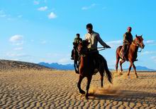 Heaven Desert Horse Racing