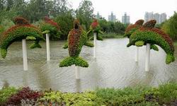 The Century park Garden of Shanghai City