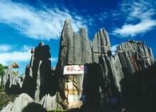 China Photos - Stone Forest in Kunming, China