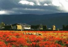 Lijiang Weather Picture